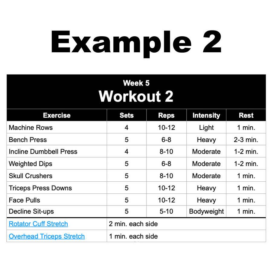 Custom Strength Training Workout Program for Bench Press Example